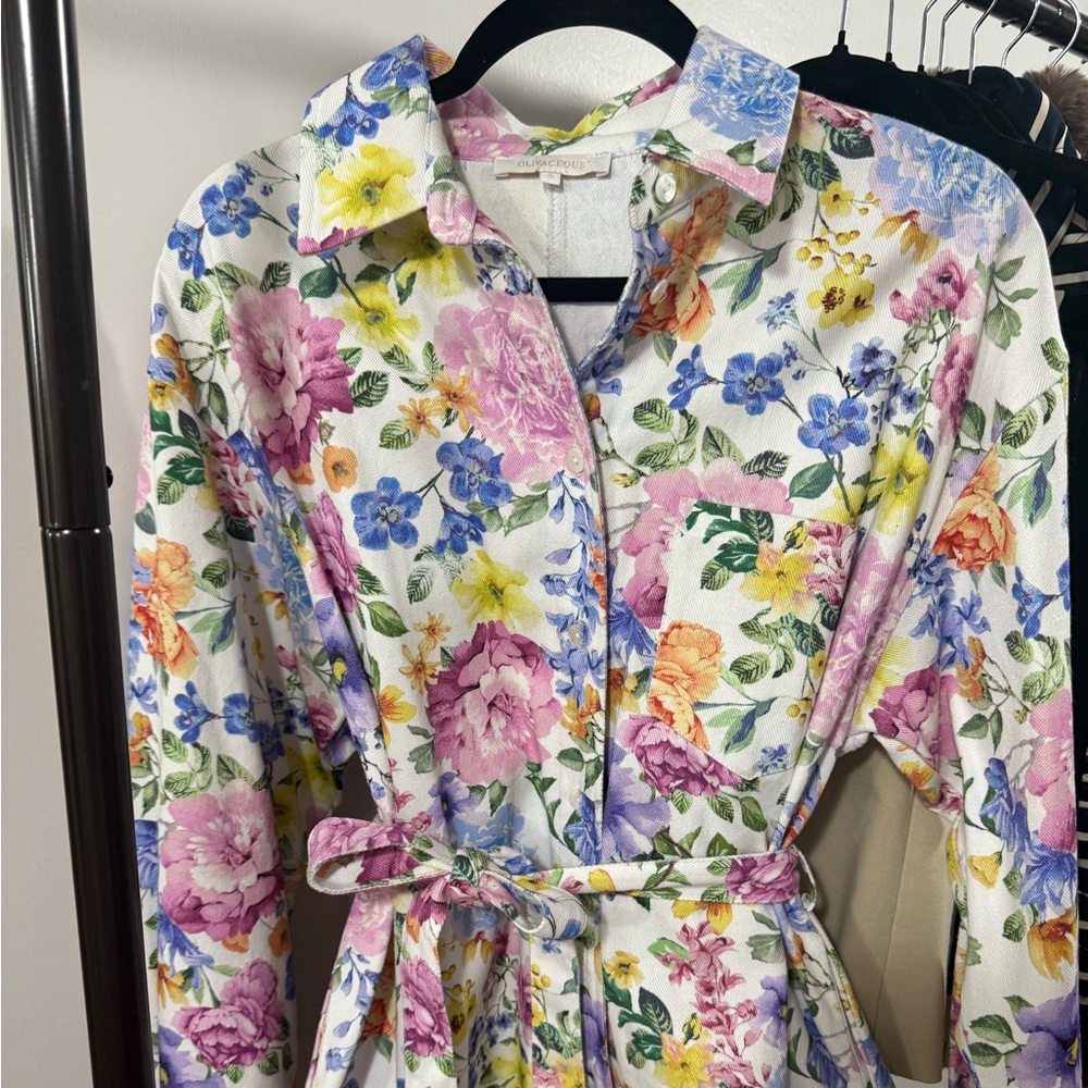 Olivaceous Multicolor Floral Belted Dress